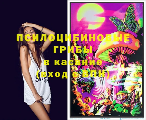 стафф Беломорск