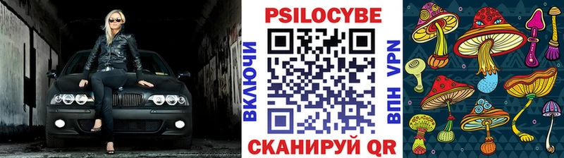 Галлюциногенные грибы MAGIC MUSHROOMS  где найти   Всеволожск 